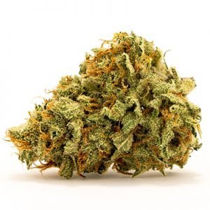 buy Royal Haze online