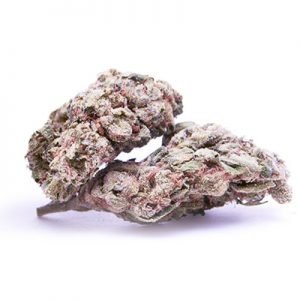buy Snowcap Cannabis Strain online