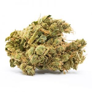 buy Stevie Wonder Marijuana Strain online