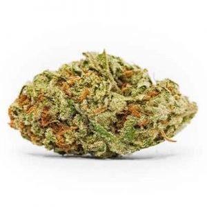 buy Strawberry Bubblegum online