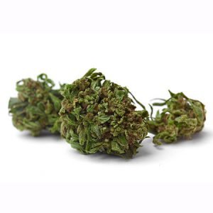 buy Sweet Cream Cannabis Strain online