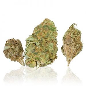 buy Tangerine Dream Cannabis Strain online