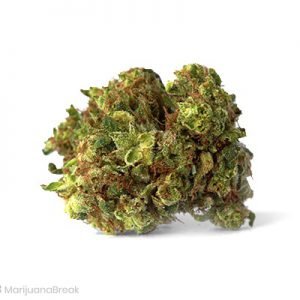 buy Tiger’s Milk Cannabis Strain online