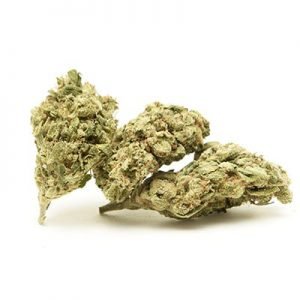 buy Vanilla Kush Marijuana Strain online