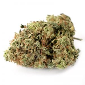 buy Violator (AAAA) online