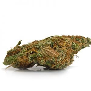 buy Wedding Crasher Marijuana Strain online