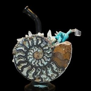 Buy Envy Glass -Ammonite- Heady Dab Rig online