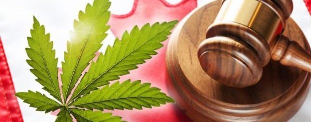 Drug conviction reversed, evidence acquired illegally